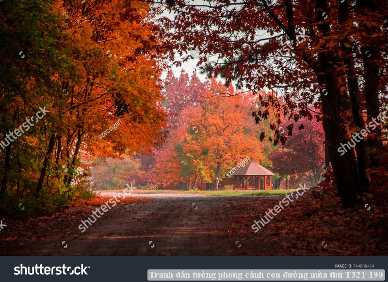 Tranh dán tường phong cảnh con đường mùa thu T321-190